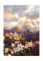 Consider The Lillies